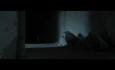SYMPTOM TRAILER